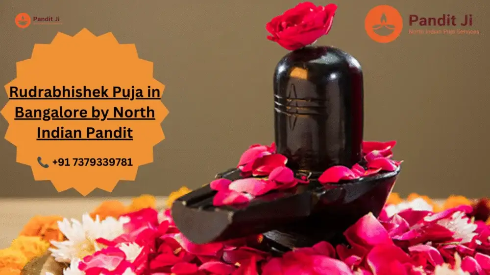 Rudrabhishek Puja in Bangalore Rudrabhishek Puja in Bangalore
